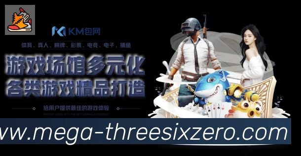 奖项证书